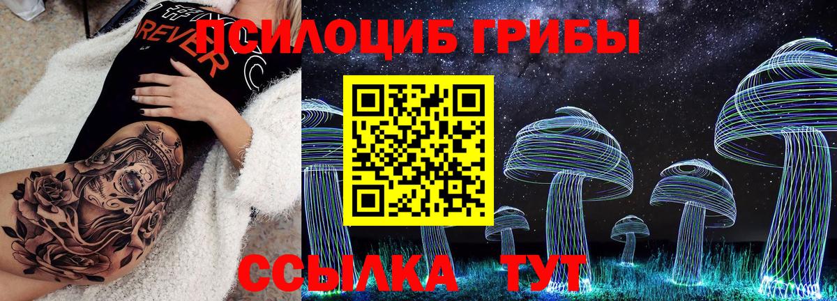 Галлюциногенные грибы Psilocybe Нерюнгри
