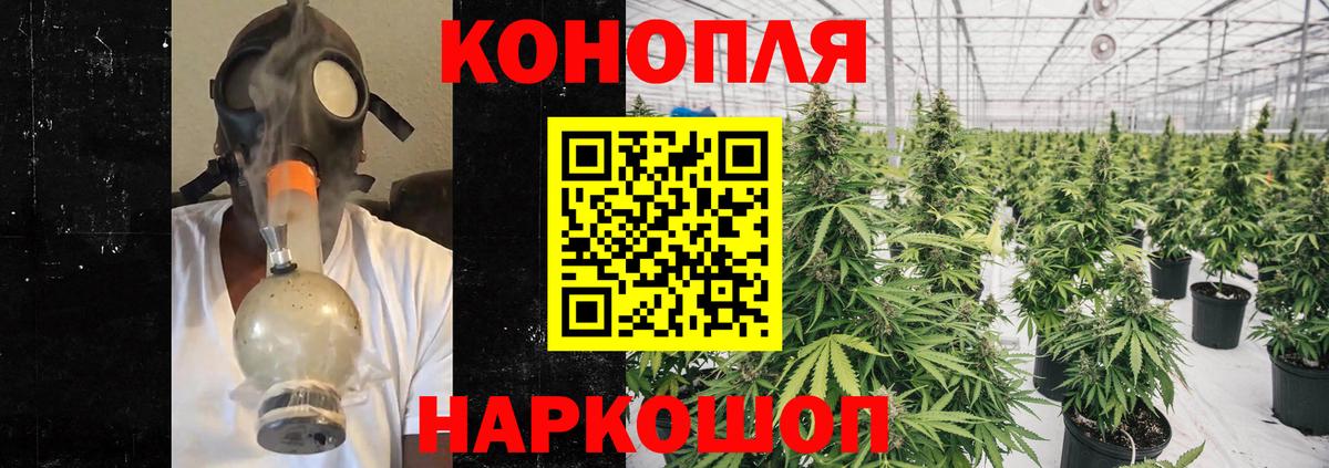 Шишки марихуана MAZAR Нерюнгри